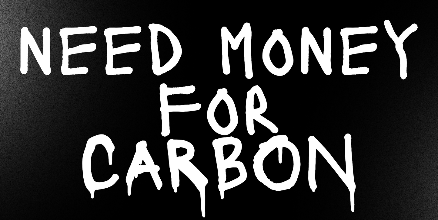 "NEED MONEY FOR" License Plate Cover